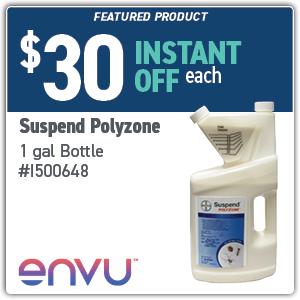 2025 February Email promosFeatured_01