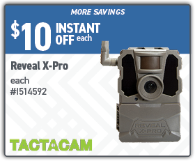 2025 February Email promosMore_02