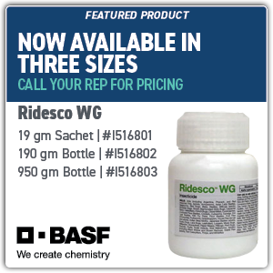 2025 March Email promos_02