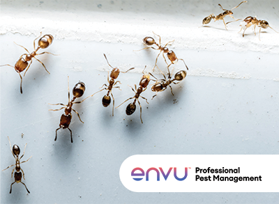 28504_ENVU_June_Target_Deliverables_ProductArticle_400x293