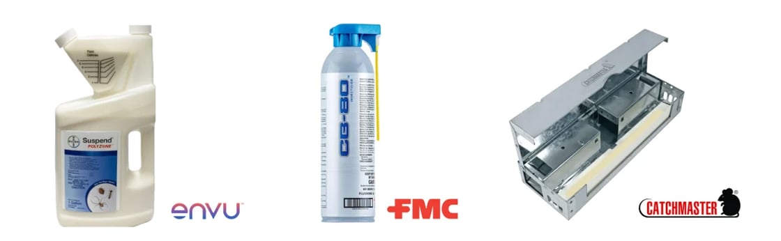 February primary promo