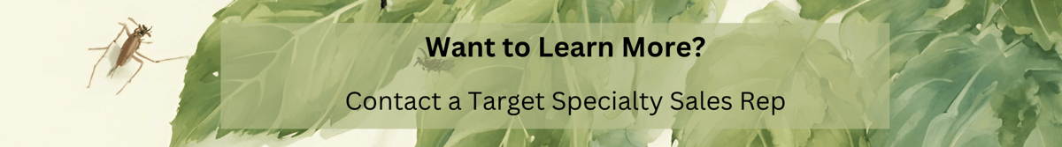 Screenshot 2024-06-26 at 3.15.41 PM