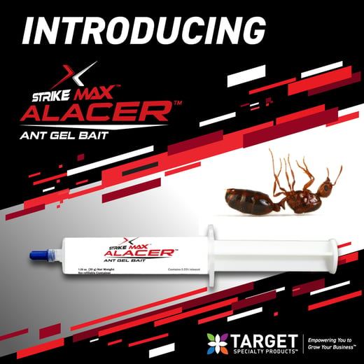 StrikeMax Alacer Ant SM-Instagram-1