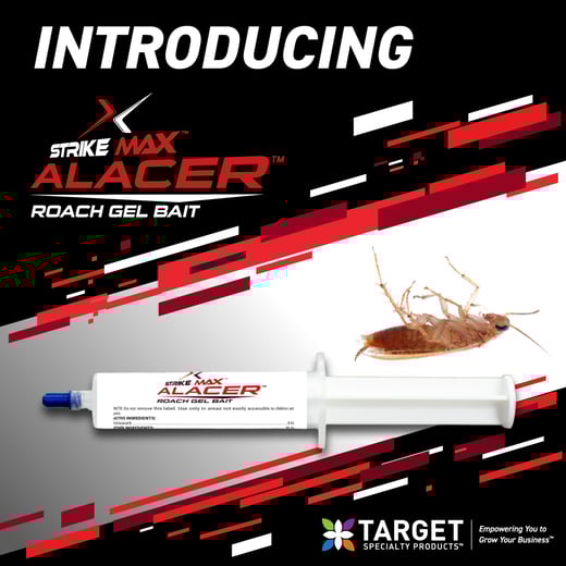 StrikeMax Alacer Cockroach SM-Instagram-1
