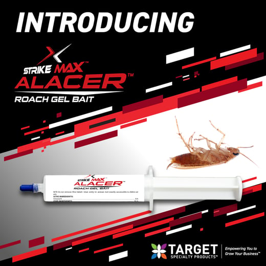StrikeMax Alacer Cockroach SM-Instagram-1