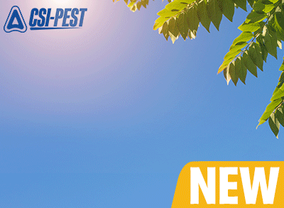 Target-AdvantageEnewsletter-VECTOR_KLEER
